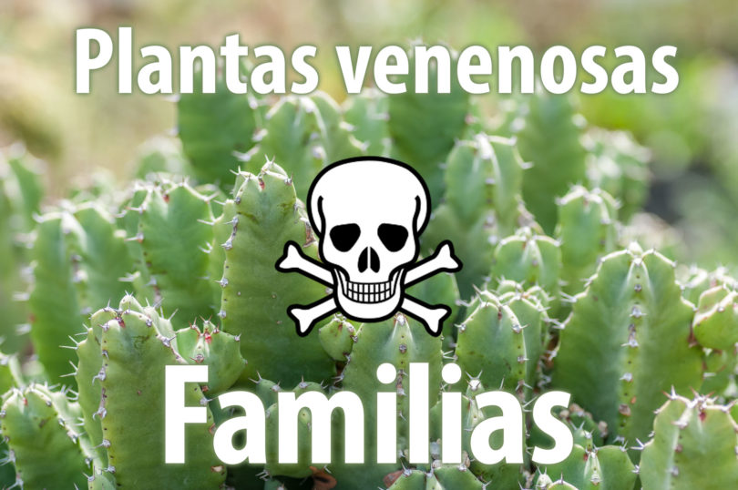 Familias de las plantas venenosas