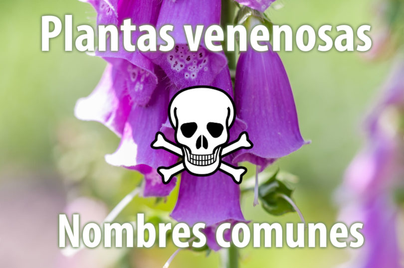 Nombres comunes de plantas venenosas